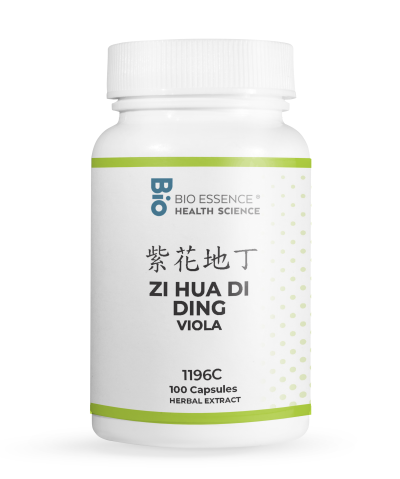traditional Chinese medicine, herbs, Bioessence, Zi Hua Di Ding
