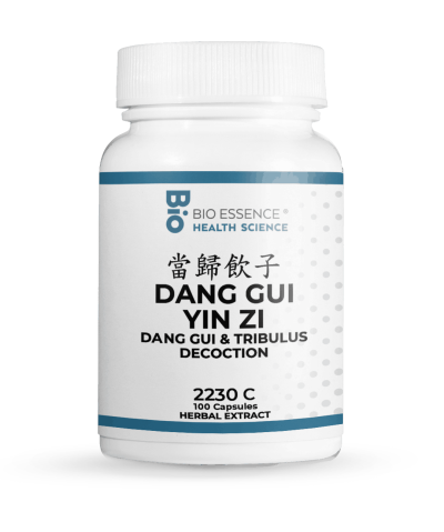 Dang Gui Yin Zi