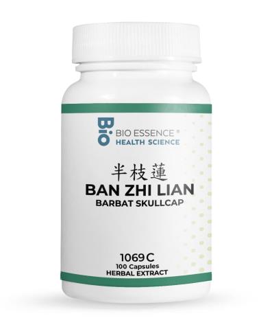 Ban Zhi Lian
