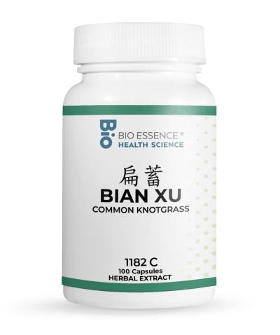 Bian Xu