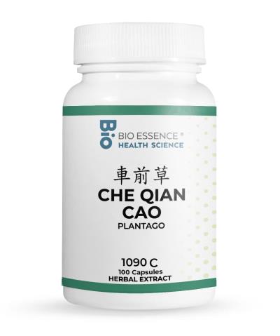 Che Qian Cao
