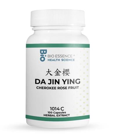 Da Jin Ying