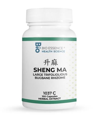 Sheng Ma