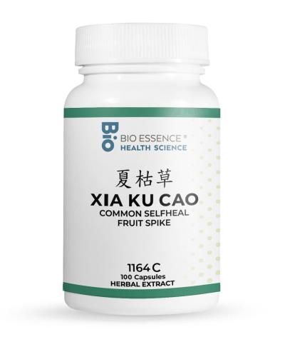 Xia Ku Cao