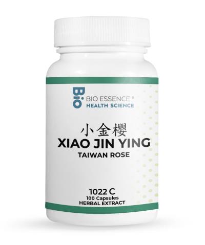 Xiao Jin Ying