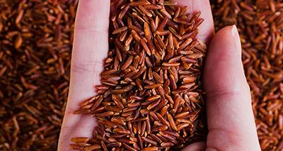 The Natural Wonder of Red Yeast Rice: A Comprehensive Guide